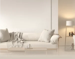 Sākums 23 1734572156492 97c138c0 bda9 11ef acf2 219267178a89